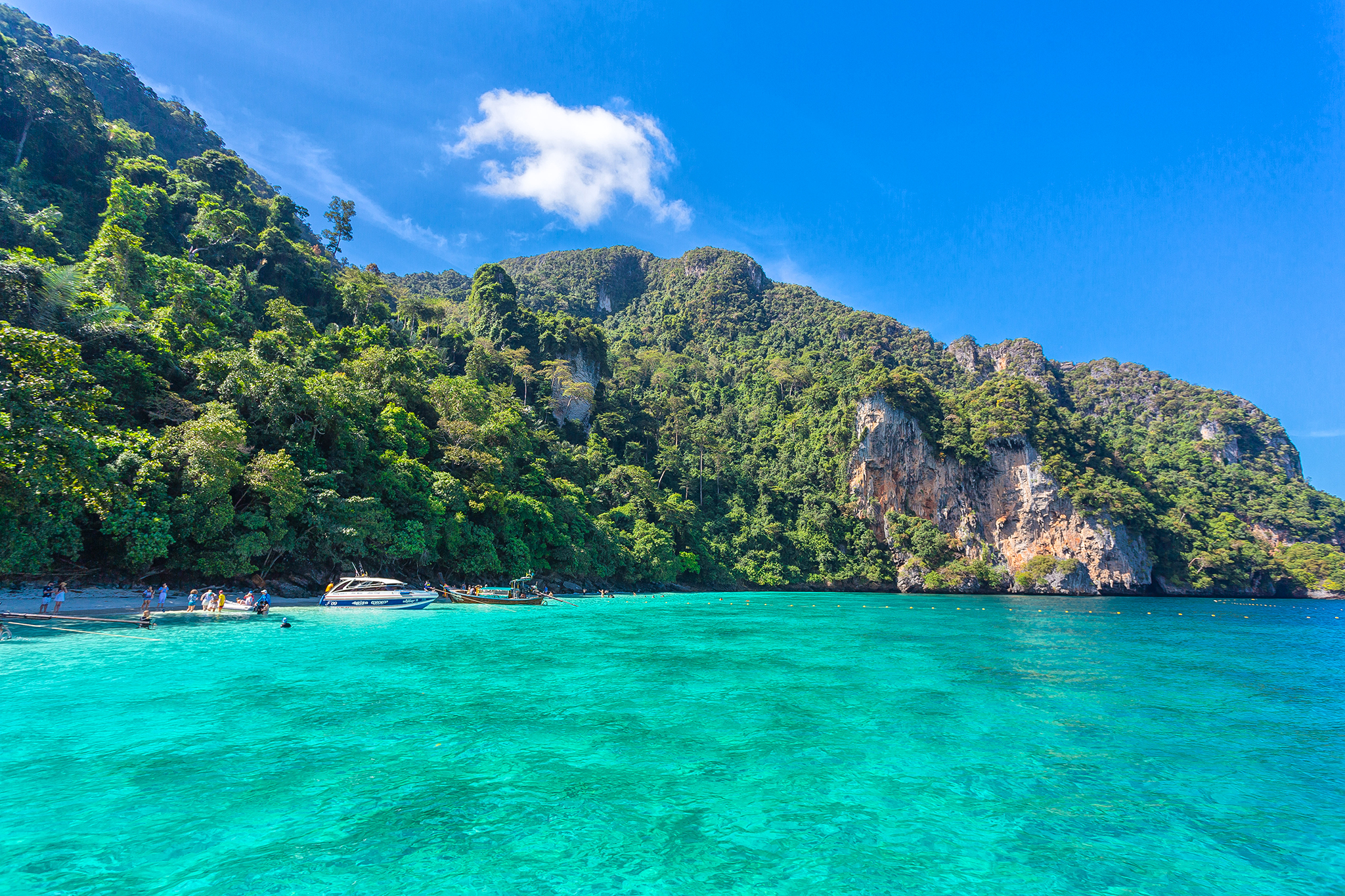 PK1. ทัวร์เกาะพีพี มาหยา ปิเล๊ะลากูน เกาะไผ่ เรือสปีดโบ๊ท - Image 14